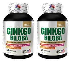 GINKGO BILOBA 120 MG 