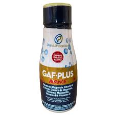 GAF- PLUS ONE MULTIVITAMINIC JARABE 300 ML 
